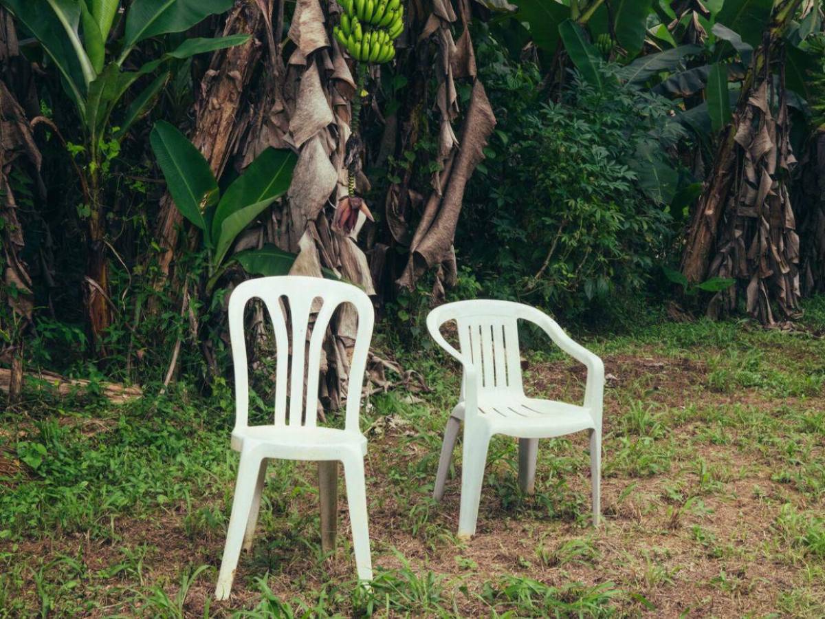 De Rosalía a Mon Laferte y más artistas que cerrarán el año con nuevo disco