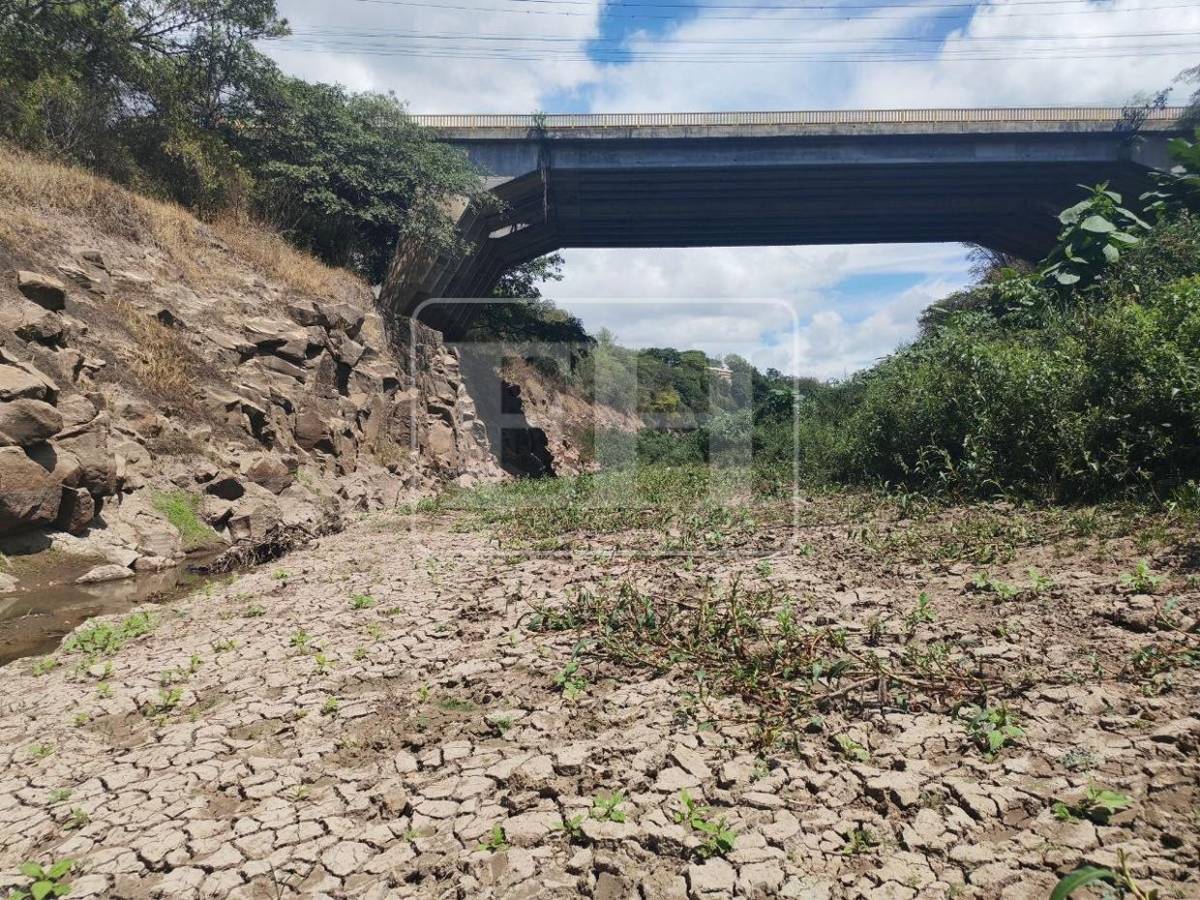 Como un hilo de agua: así está este 7 de septiembre el río Guacerique que agoniza por la sequía