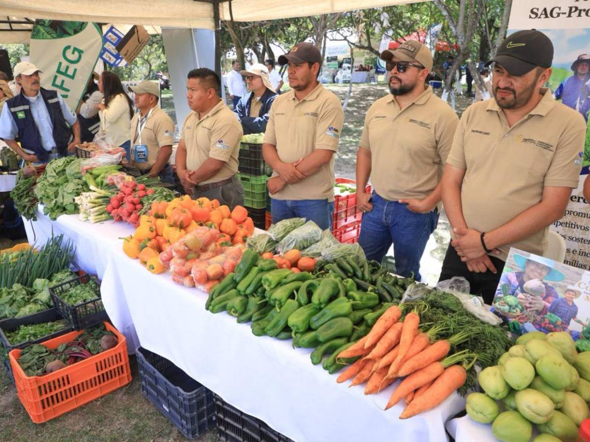 ¿Quiénes podrán acceder al nuevo proyecto agrícola de L455 millones anunciado por Nasry Asfura?