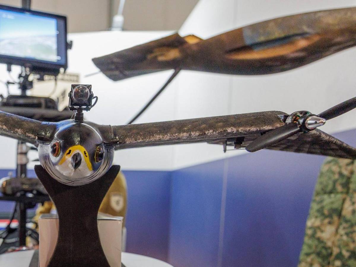 Seagull Evo, avanzado dron de vigilancia que imita el vuelo de una gaviota real