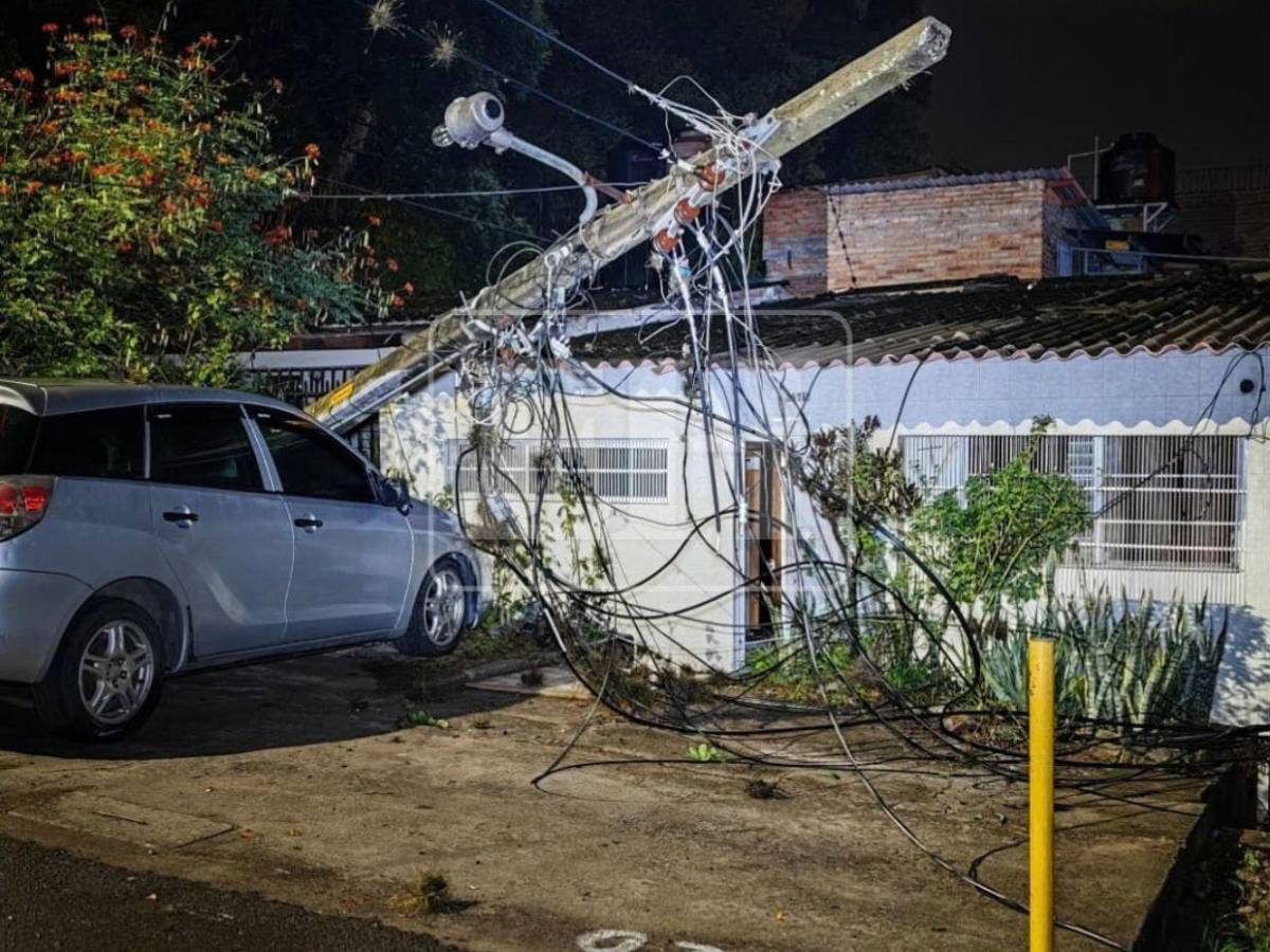 Denuncias no evitaron caída de árbol que dañó cuatro vehículos en la Kennedy