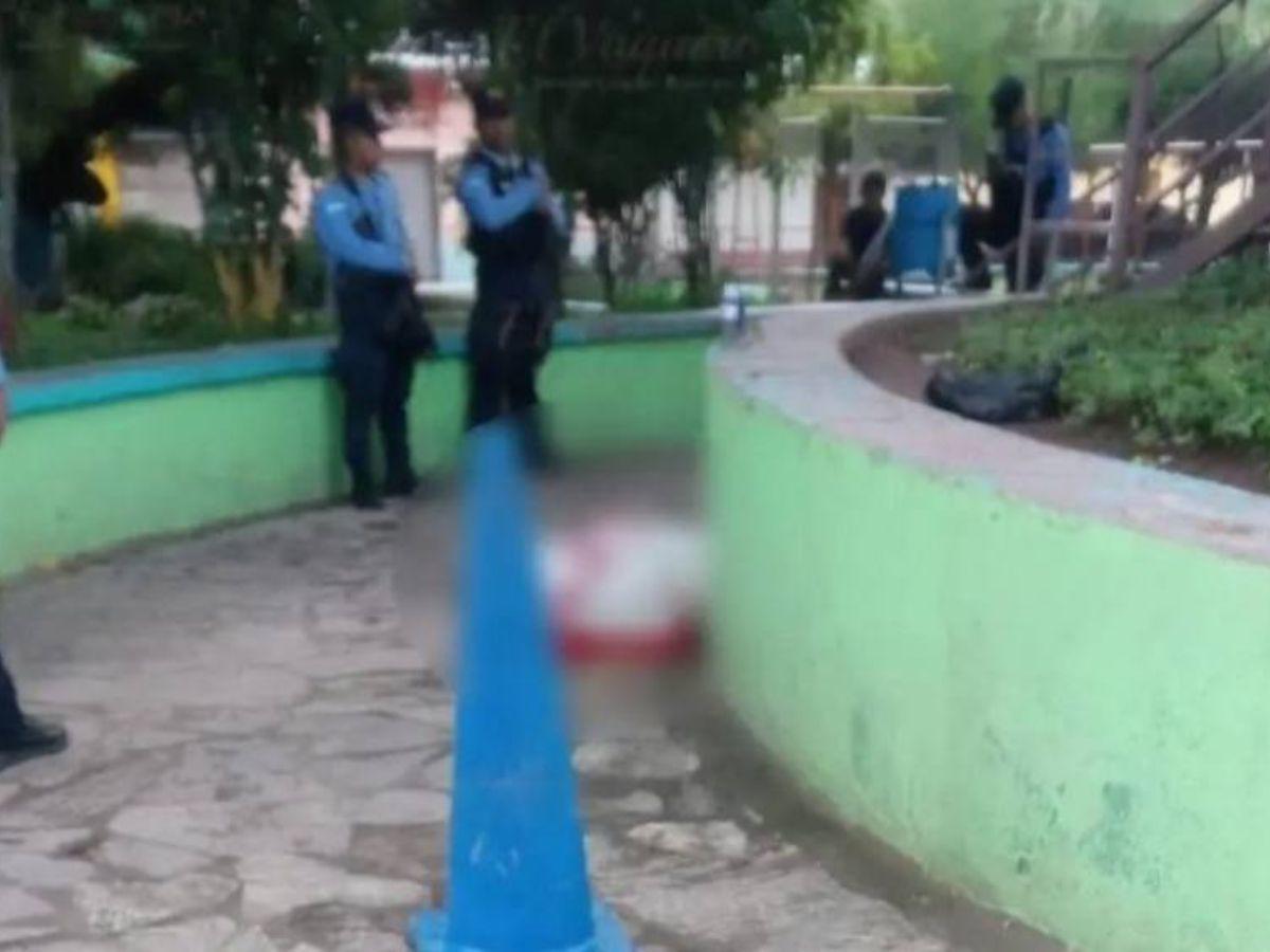 Lo habrían asesinado de varias puñaladas: Gustavo Pérez, de 14 años, fue encontrado en un parque