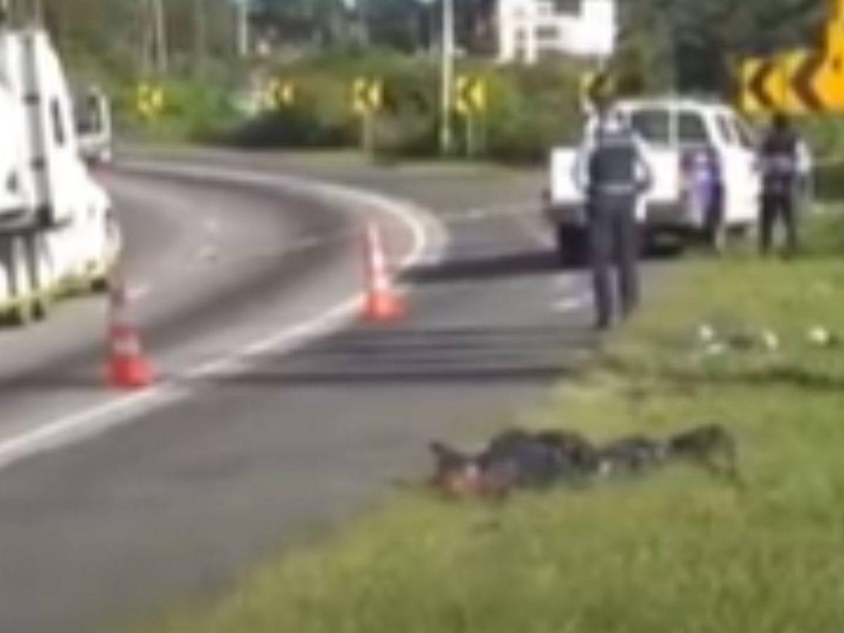 Tenía mutilaciones en el rostro: lo que se sabe del hombre embolsado en la CA-5