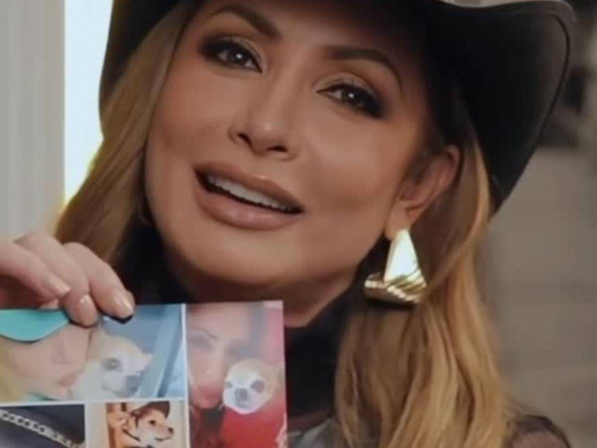 Paty Navidad vuelve a las telenovelas de Televisa después de años de ausencia y polémicas