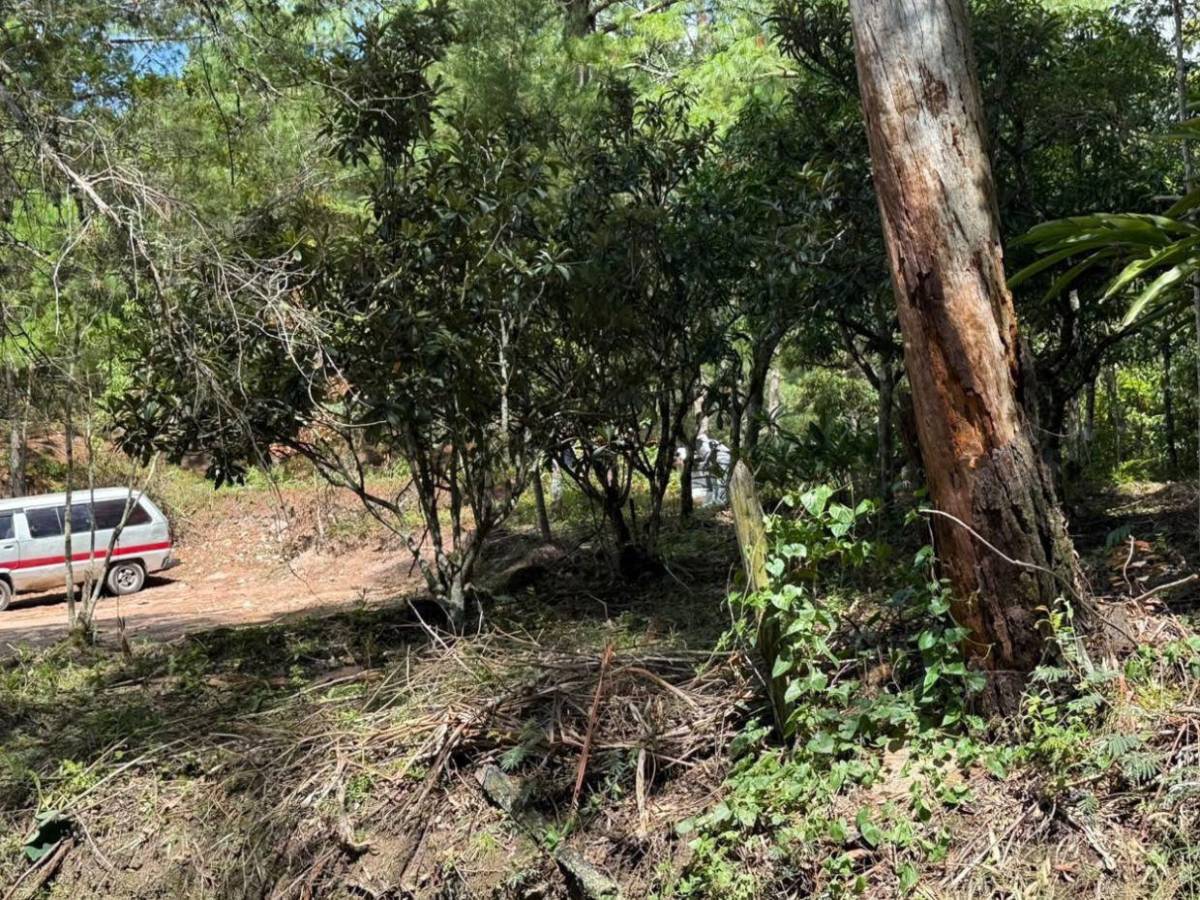 Desapareció desde el lunes: así encontraron el cuerpo de Victor Sánchez cerca de La Tigra