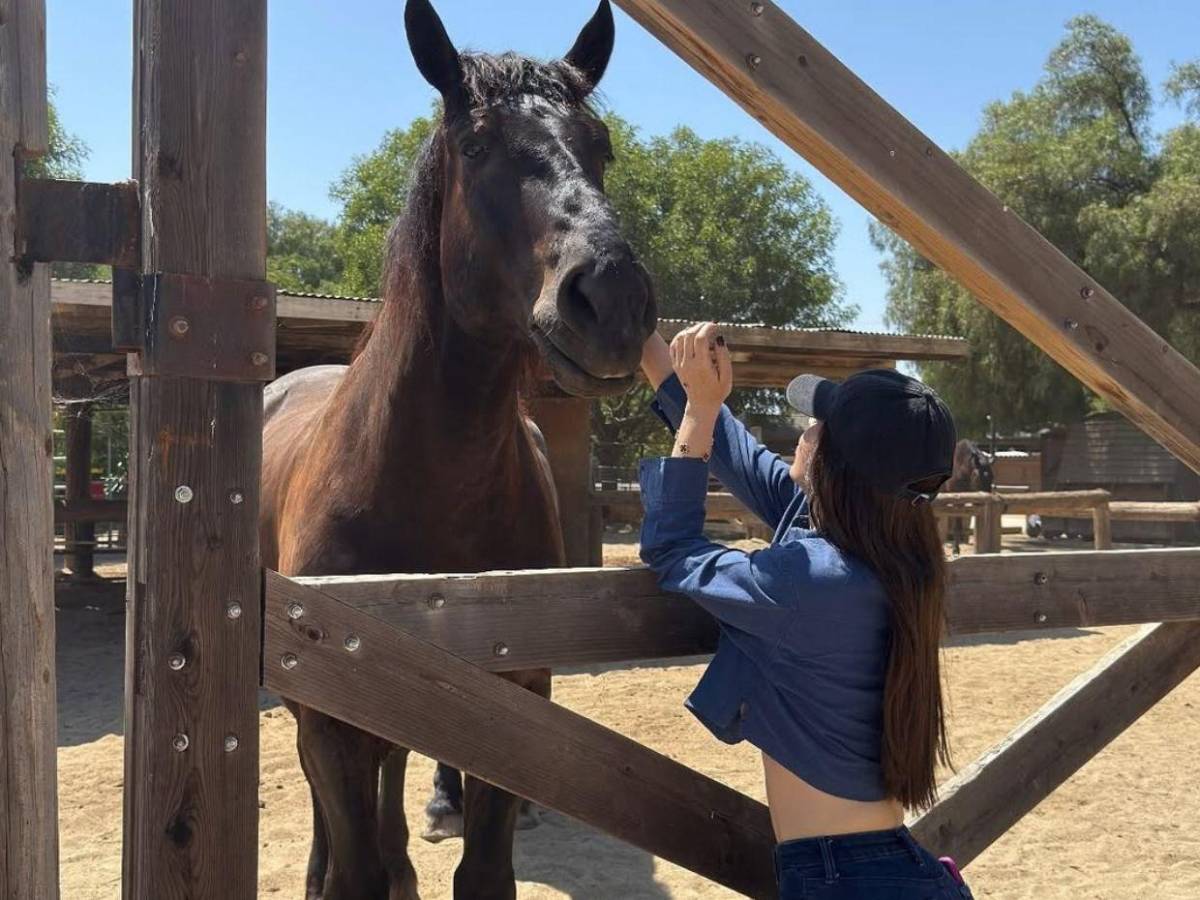 Casada con 'El Chapo', el documental que expone la vida de Emma Coronel