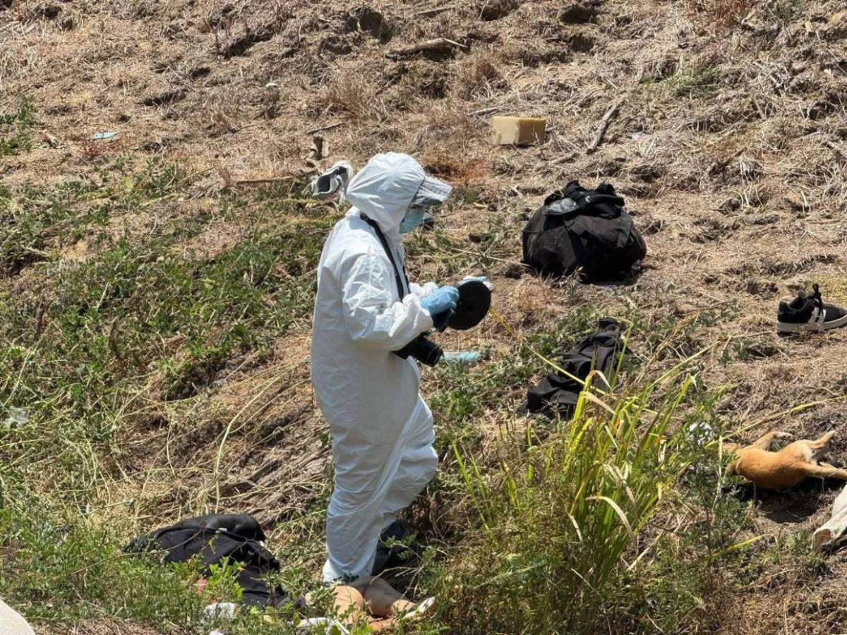 Trágico viaje a la playa en México: familia pierde la vida en accidente; hasta mascota murió