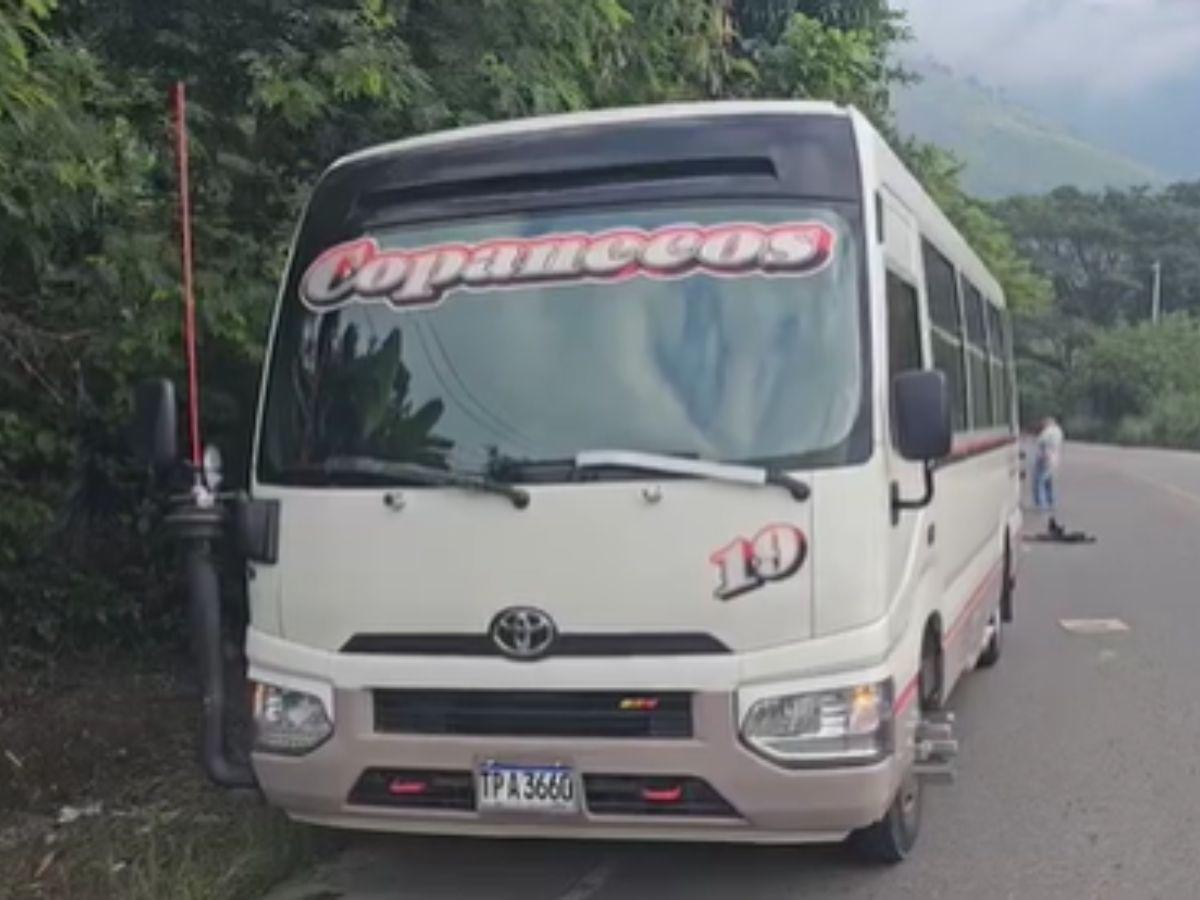 En presunto asalto matan a cobrador de bus en Cofradía, Cortés