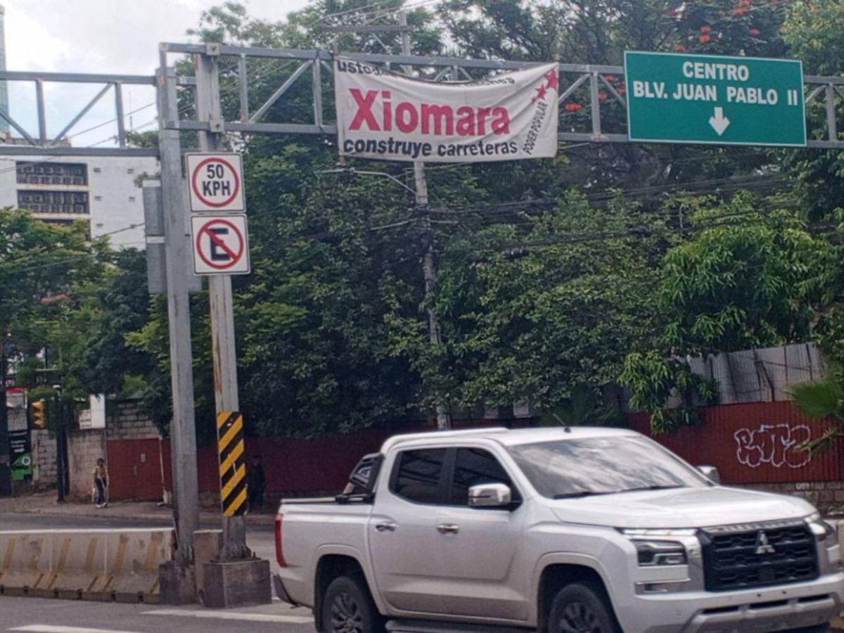 Entre ataques a las iglesias y apoyo al gobierno: las pancartas colocadas en la capital previo a la caminata