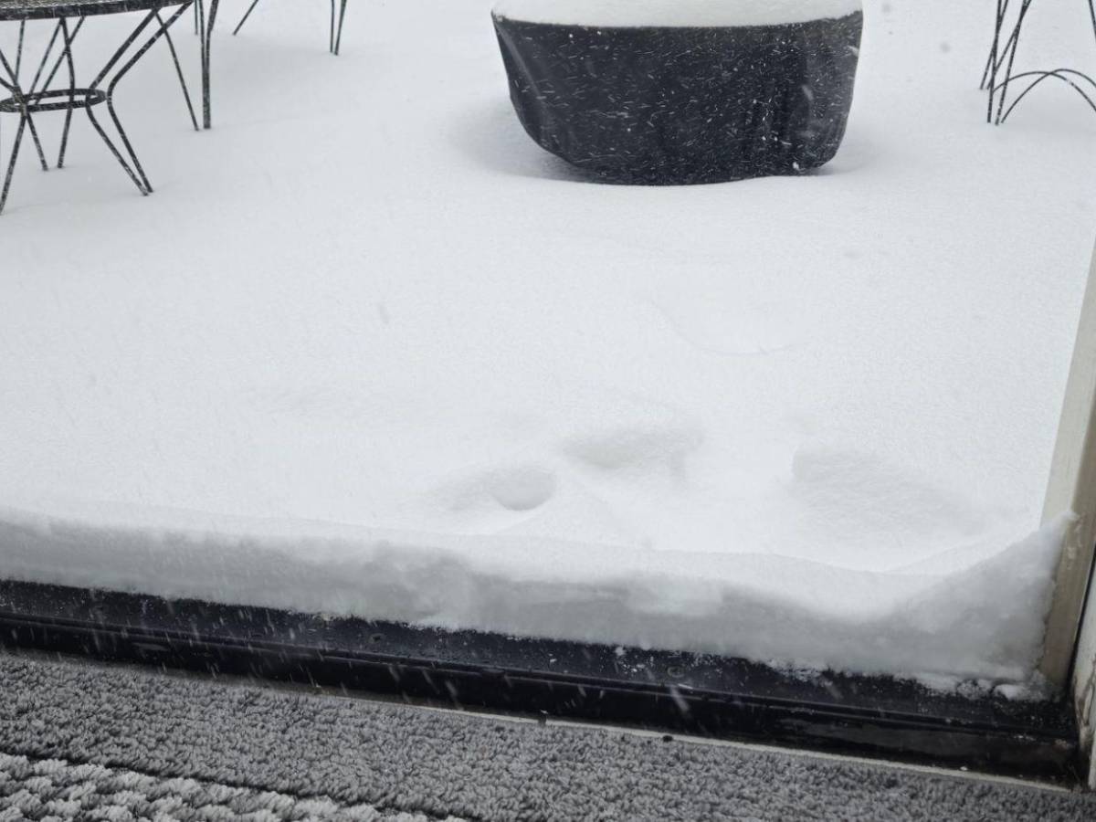 Nueva Orleans recibe una nevada histórica después de 16 años