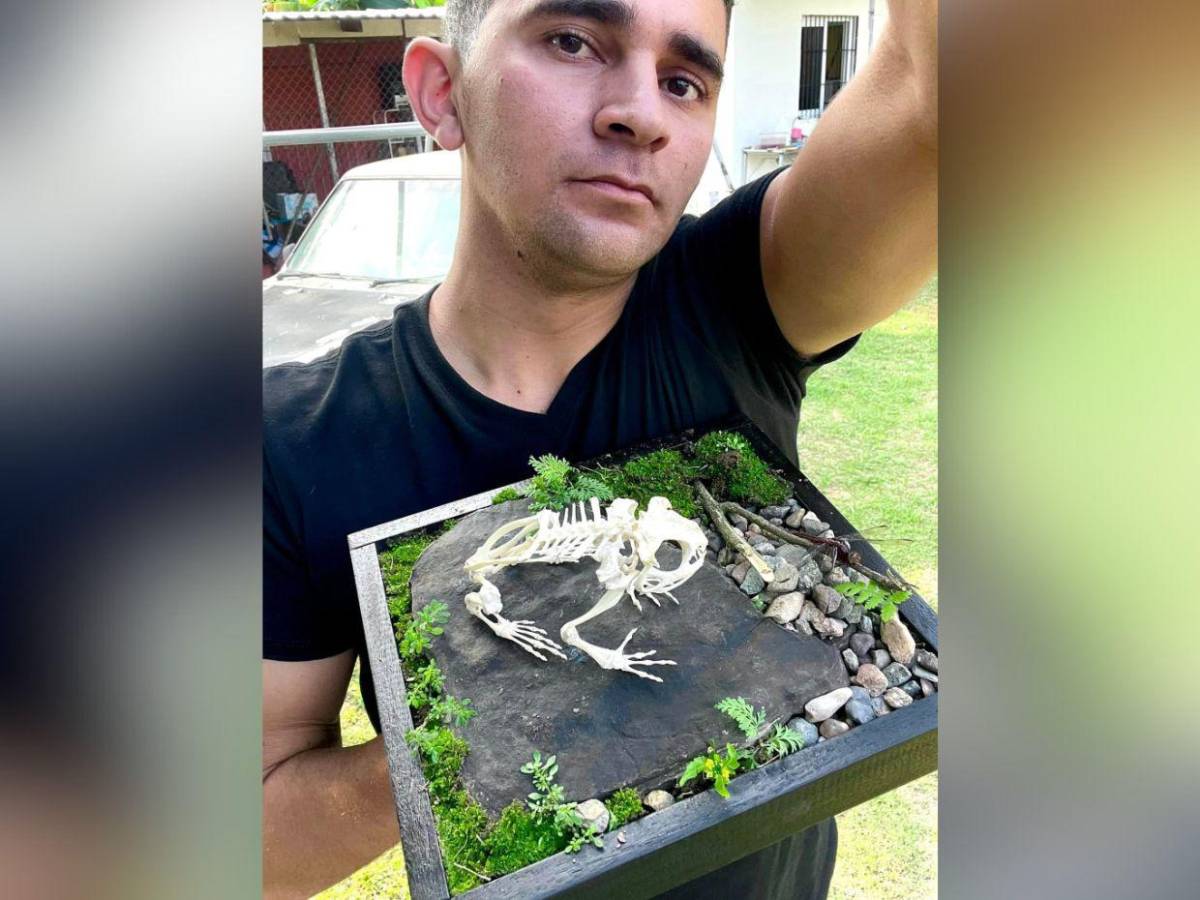 Hondureño transforma placentas en arte y huesos en esculturas sorprendentes