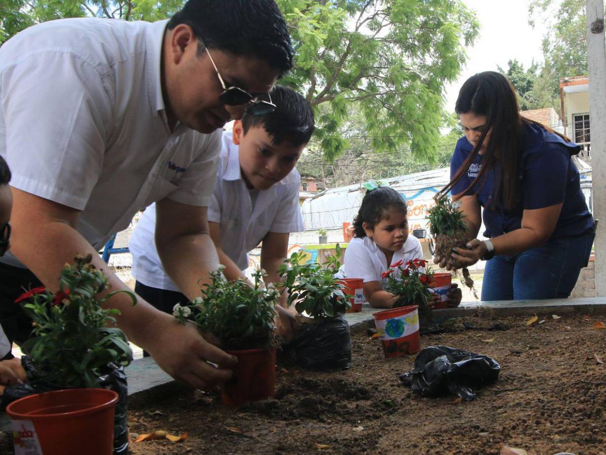 Plantas, reciclaje y un fiel compromiso: Así finaliza la Semana 7 de EAA