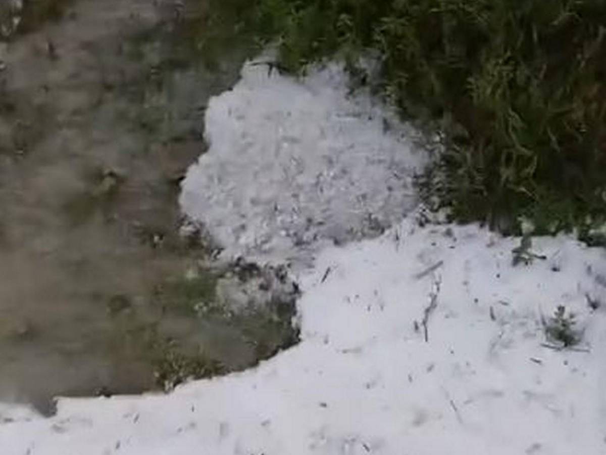 Es una gran decepción: tormenta de granizo causa estragos en cultivos de Intibucá