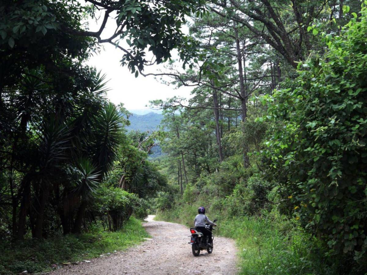 Zona del libramiento al sur sigue igual: promesas incumplidas y sin avances