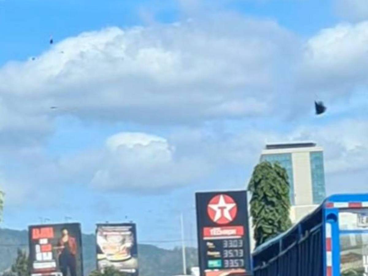 ¿Por qué invadieron mariposas el cielo de Tegucigalpa?