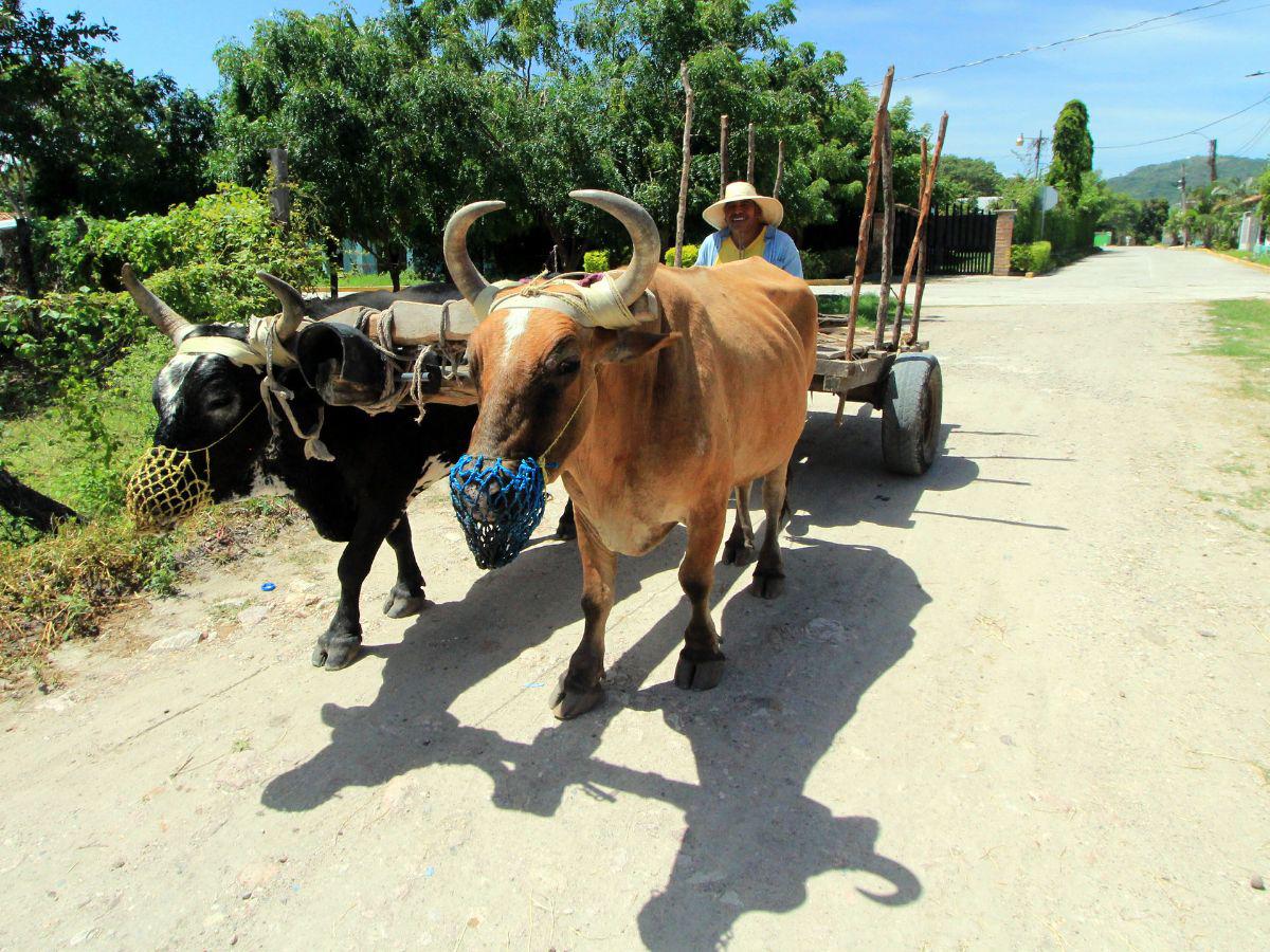 Humuya y Lauterique: dos pueblos de Honduras donde salir a la calle no genera temor