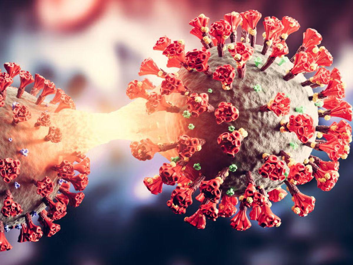 Persona infectada habría traído a Honduras la subvariante 'Frankenstein' del covid-19: ¿qué se sabe?