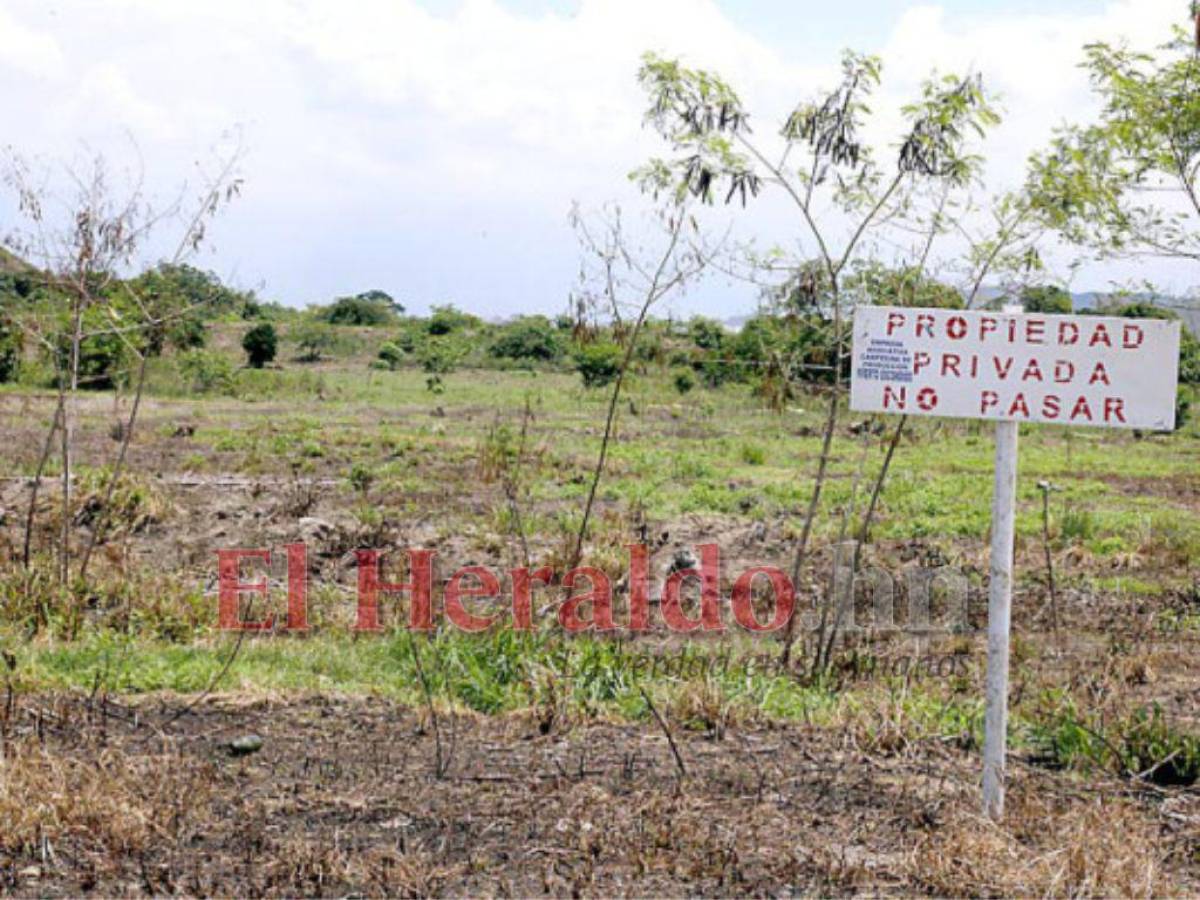 Gobierno asegura que respetará el derecho de la propiedad privada en Honduras