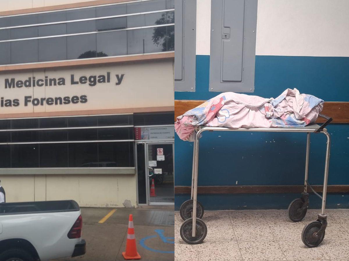 Un perro atacó a niña de cuatro años y la mató de una mordida en el cuello en El Pedernal