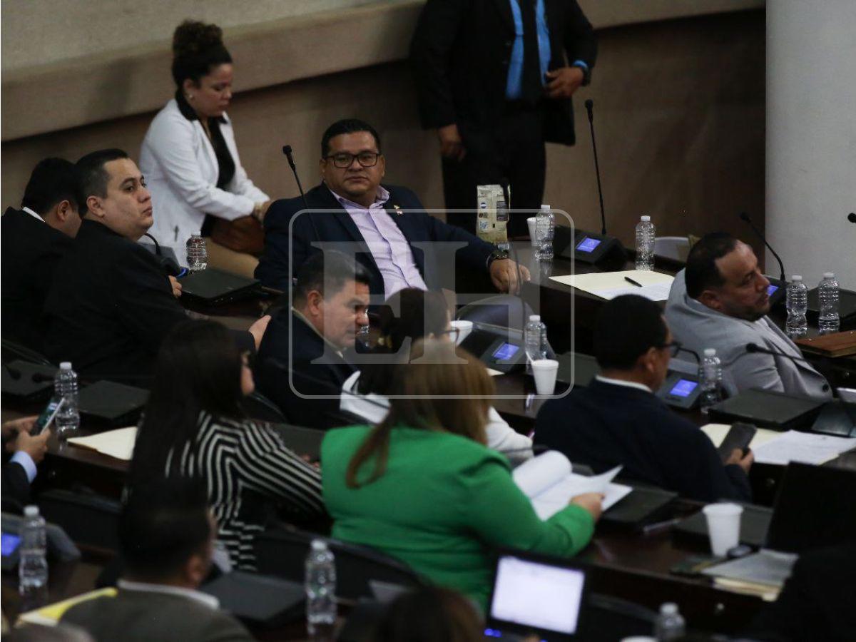 ¿Cuáles son las amnistías aprobadas por el Congreso y en qué consiste cada una?