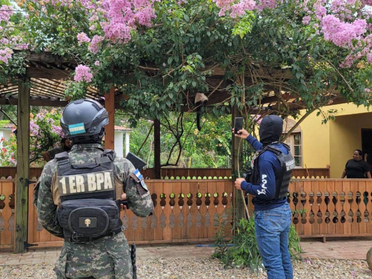 Así fue el rescate de jaguar y otras especies exóticas en cautiverio en Olancho