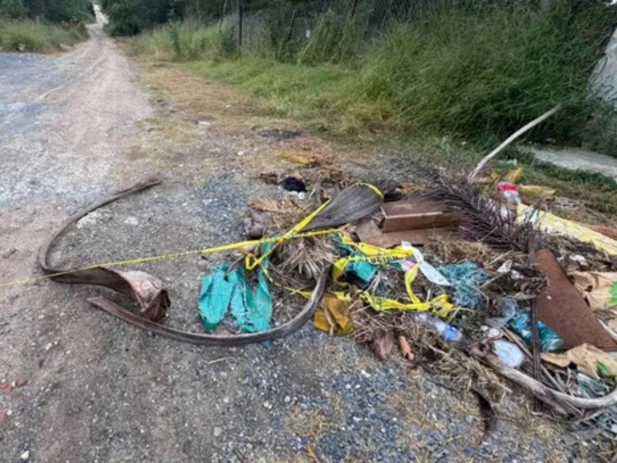 La invitaron a una fiesta por redes y luego la incendiaron: así murió Pamela Yahaira