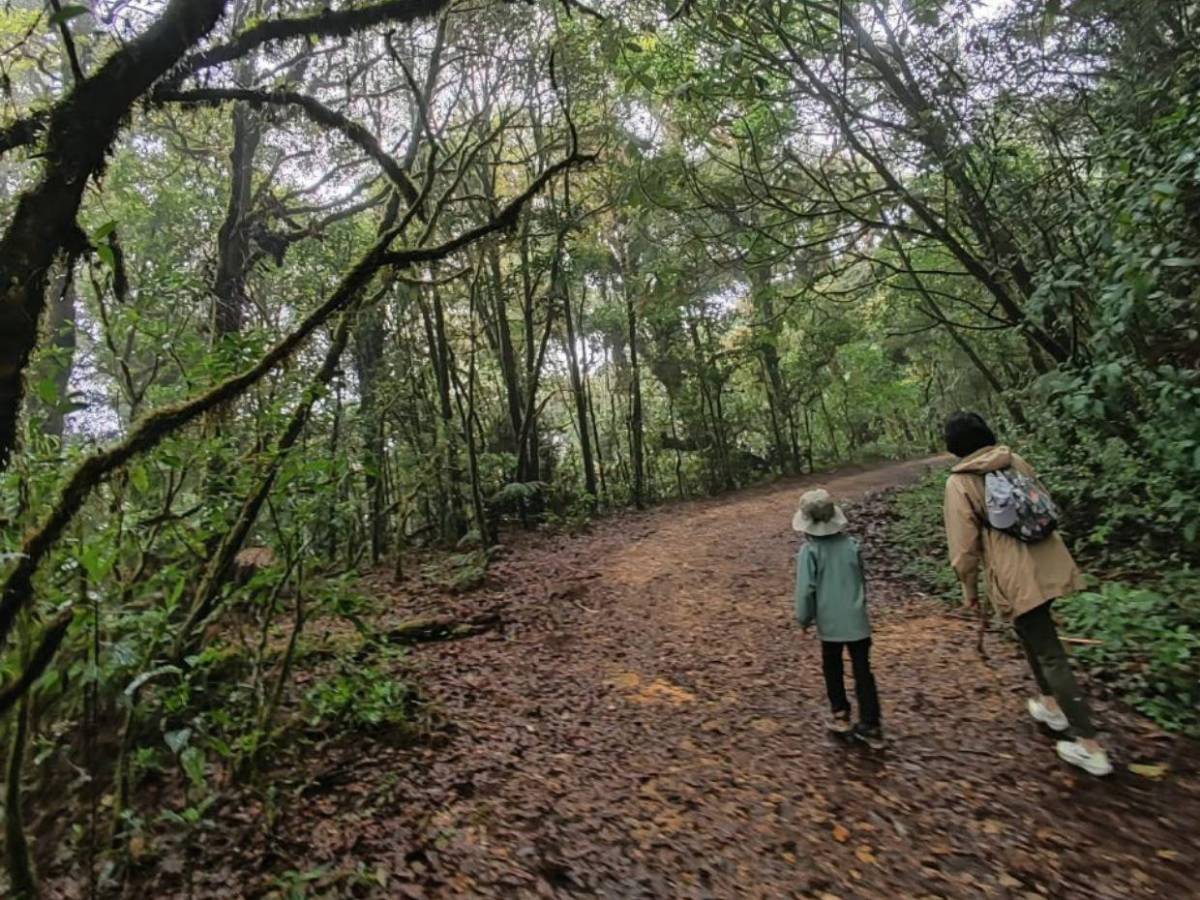 Turismo de montaña en La Tigra: Así se vive una escapada entre la naturaleza y neblina