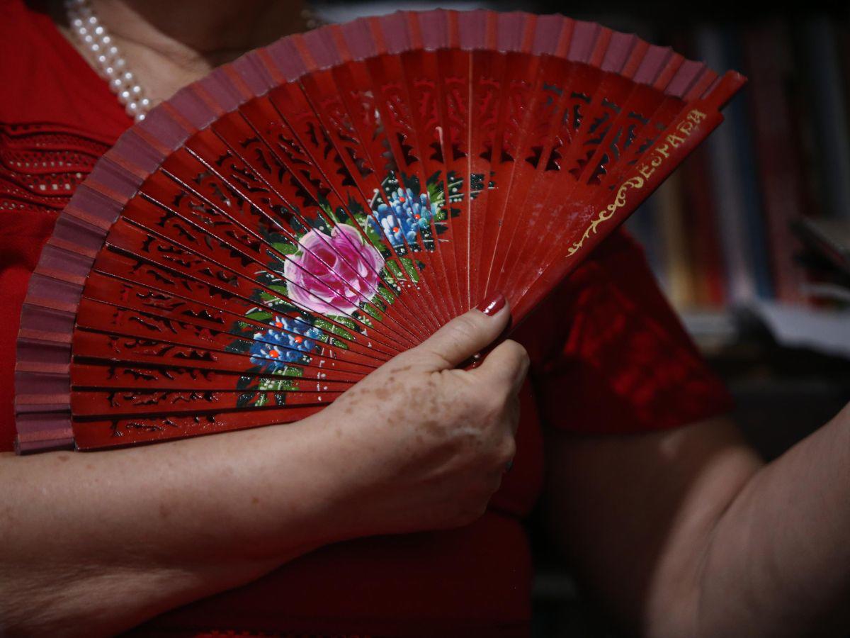 $!Doña Elsa Ramírez a sus 67 años ha demostrado ser una mujer fuerte y valiente.