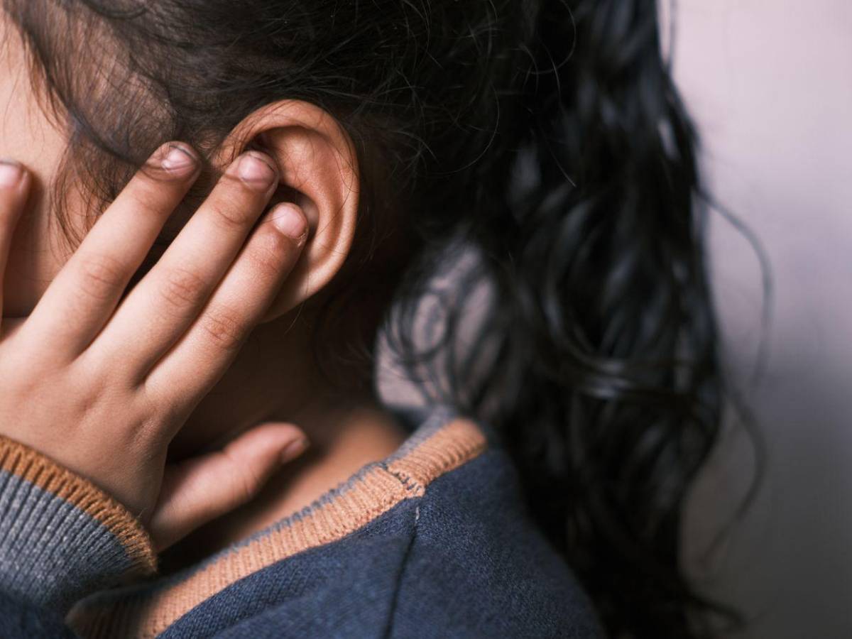 Miasis en humanos: ¿Cómo luce la mosca cochliomyia hominivorax que la provoca?