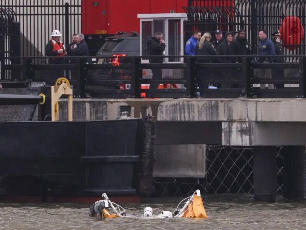 Teorías sobre el accidente aéreo en Nueva York: aves, drones o fallo de motor Teorías sobre el accidente aéreo en Nueva York: aves, drones o fallo de motor