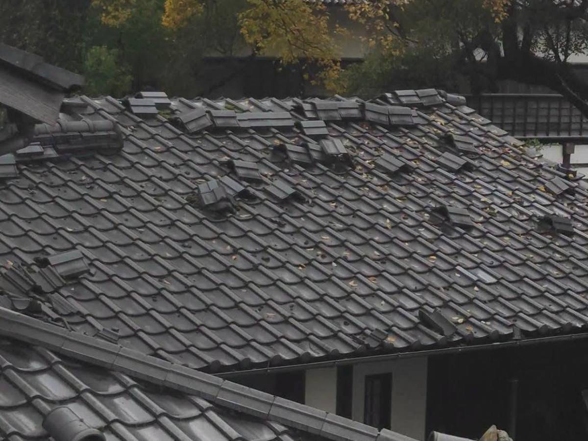 Derrumbes, carreteras dañadas y personas atrapadas: caos tras sismo en Japón