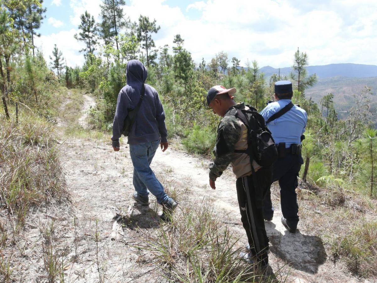 ICF encargó al ambientalista Juan Silva tomar fotos de los taladores antes ser asesinado