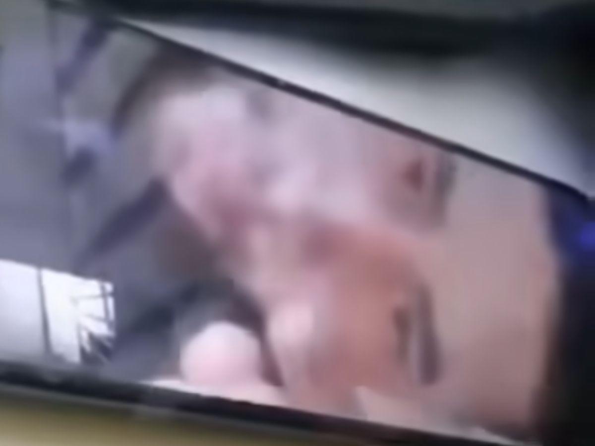 Te voy a pelar: salen a la luz amenazas que recibió Elvia antes de ser asesinada por su pareja