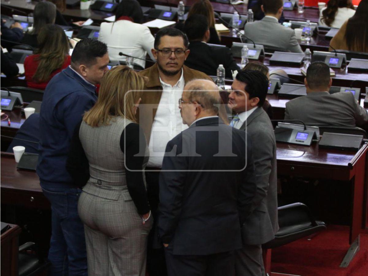 ¿Cuáles son las amnistías aprobadas por el Congreso y en qué consiste cada una?