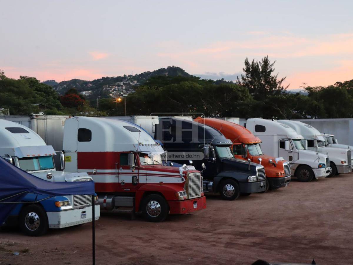 Camiones y logística lista para el inicio del despacho de material electoral