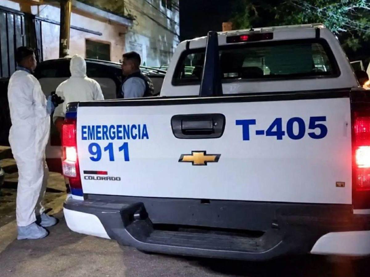 Escuchábamos llorar al perro: Vecinos revelan el trato que recibía el pitbull que mató a su dueño en Tegucigalpa