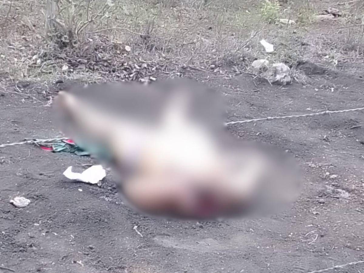 “Apenas es el comienzo”: Cartel del Diablo grabó mientras decapitaba a mujer en Yoro