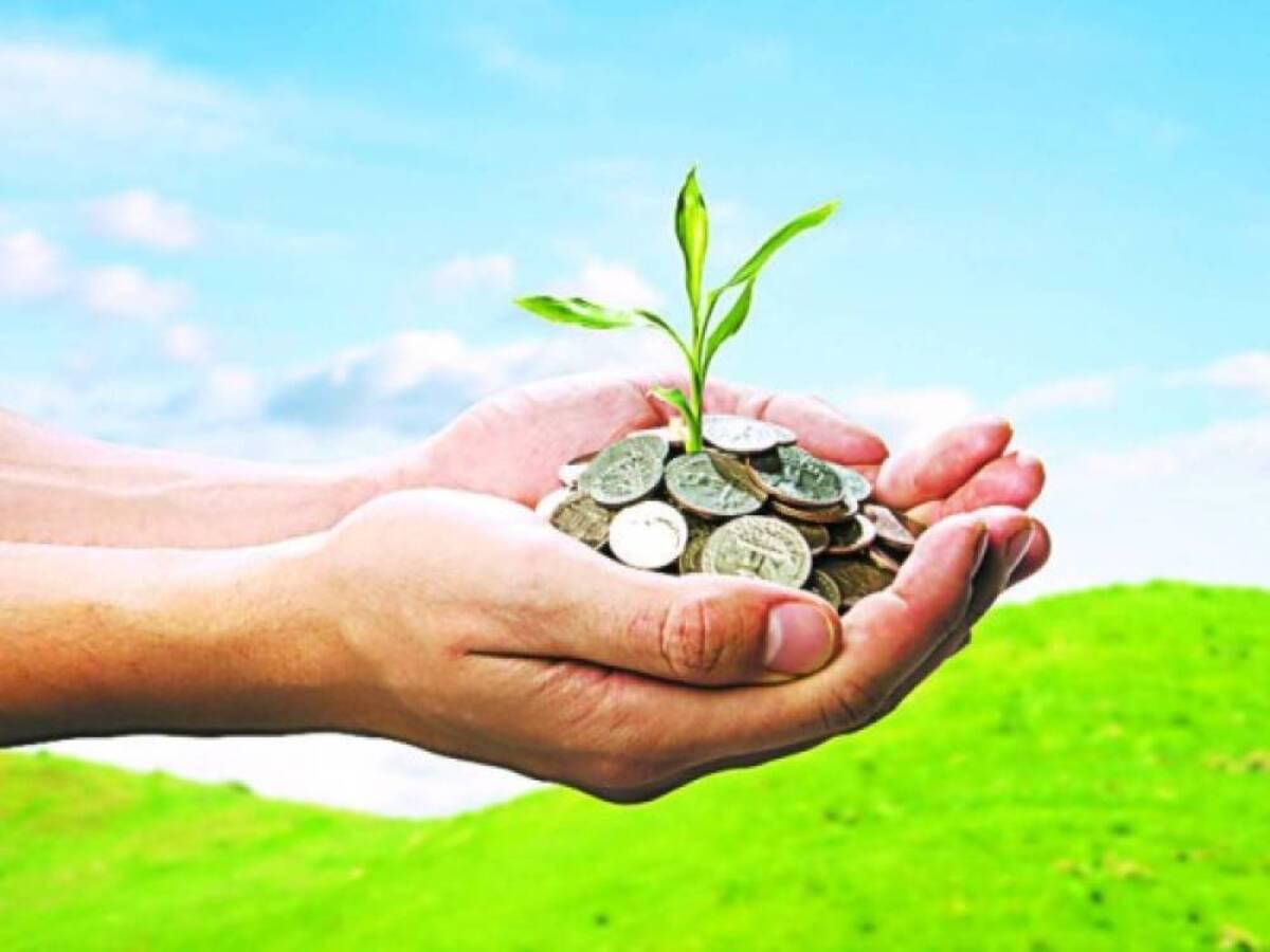 Las ideas de negocio en Honduras y los factores que aseguran su éxito