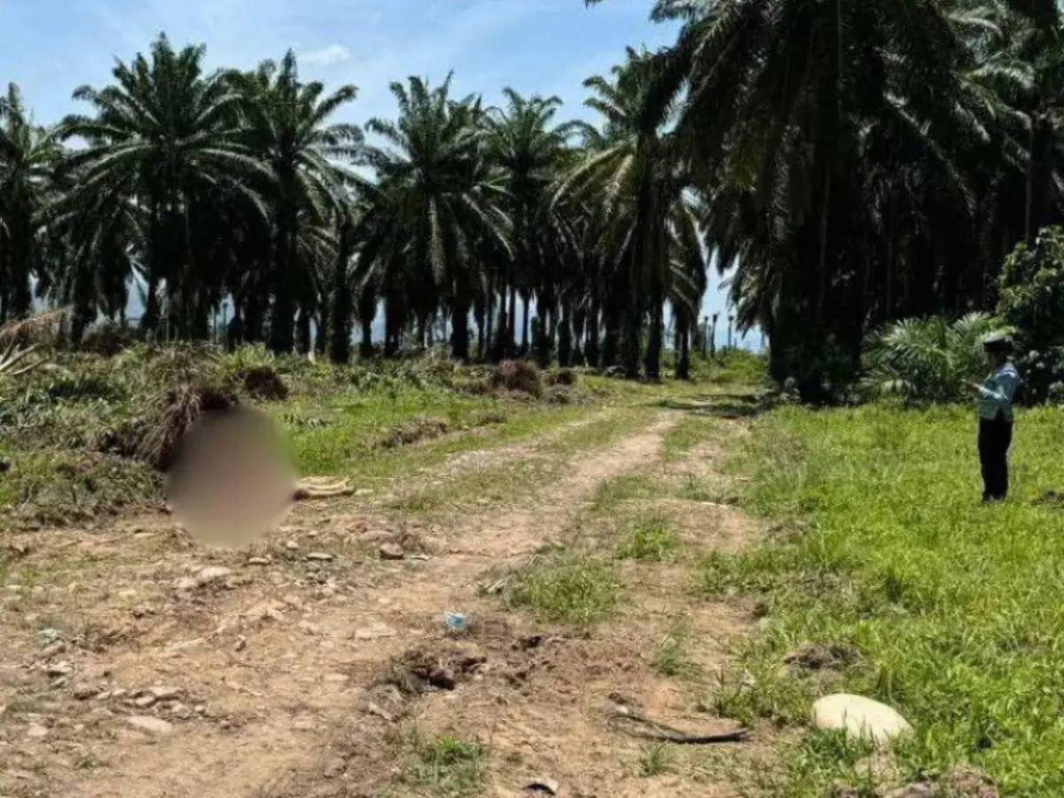 ¿Qué se sabe de los sospechosos tras masacre en Rigores, Trujillo?
