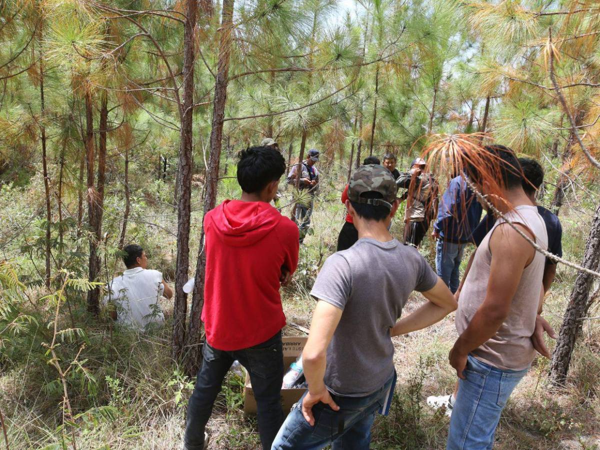 ICF encargó al ambientalista Juan Silva tomar fotos de los taladores antes ser asesinado