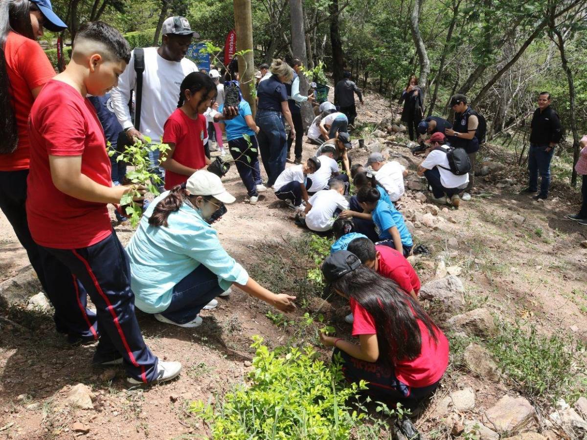 Amor por la naturaleza: Líderes ecológicos reforestaron el parque Juana Laínez