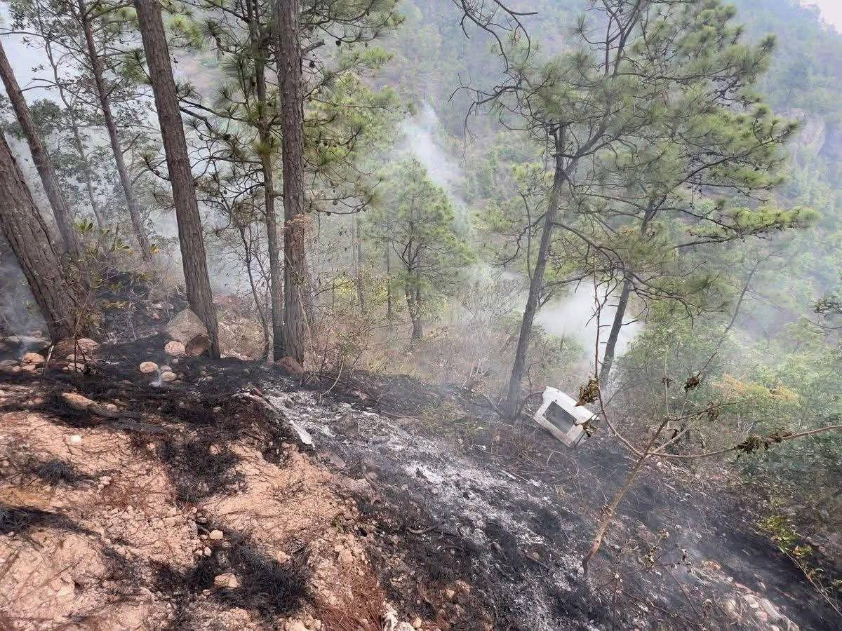Entre las víctimas hay una mujer: revelan detalles de los tres cuerpos carbonizados en El Cimarrón