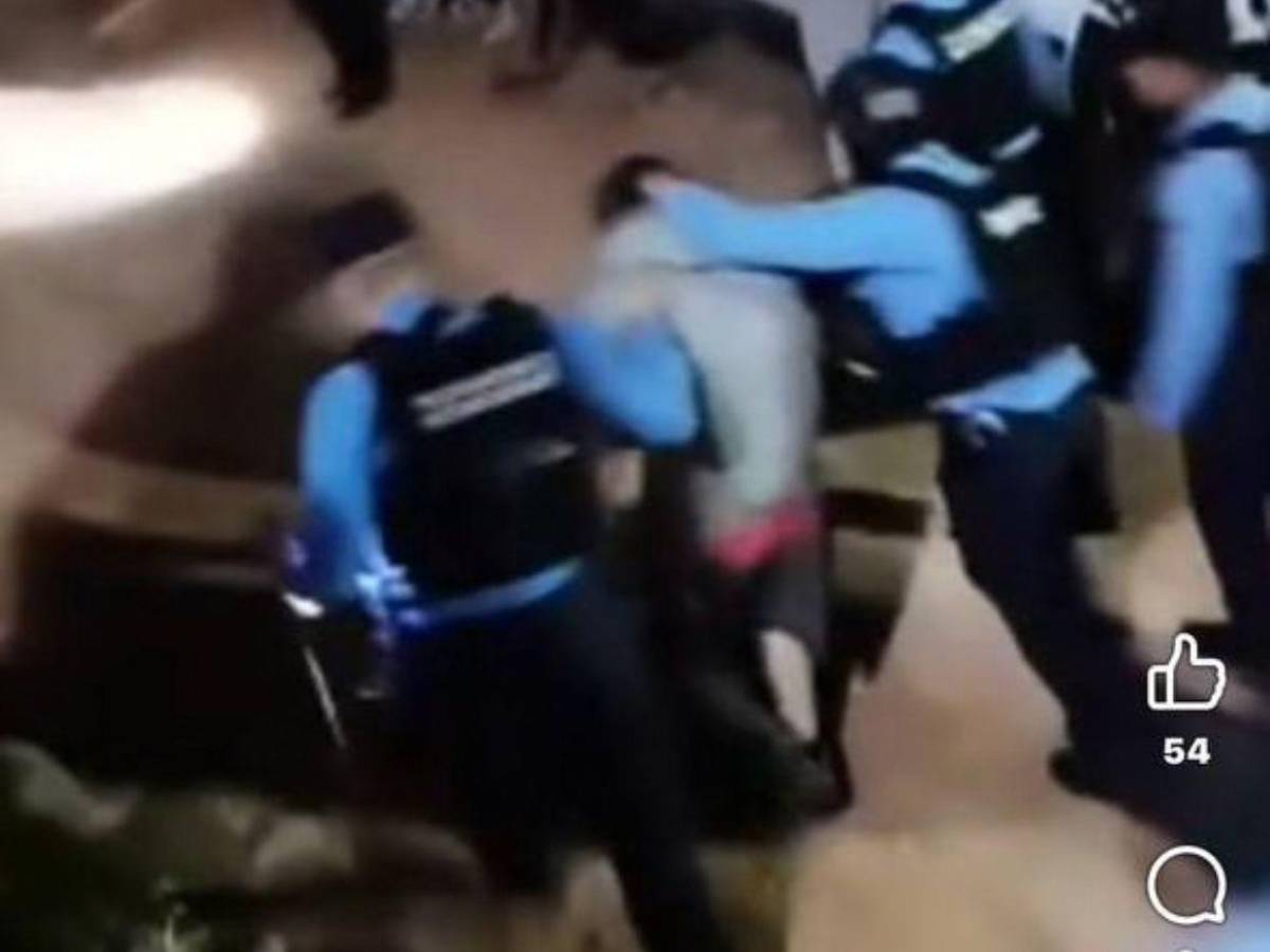 Agredió a un gato y le reclamaron: Ricardo mató a su tía e hirió a su mamá y abuela en Los Pinos