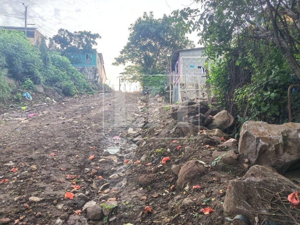 Cerco de púas deja sin paso a vecinos de colonia Monte de los Olivos