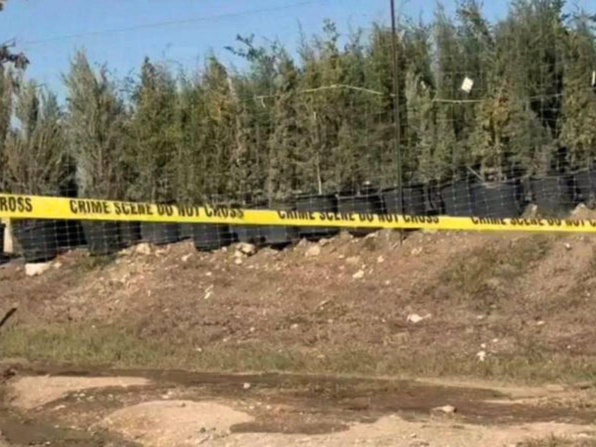 El presunto asesino de tres hondureños en Texas se hizo violento por videojuegos, aseguran