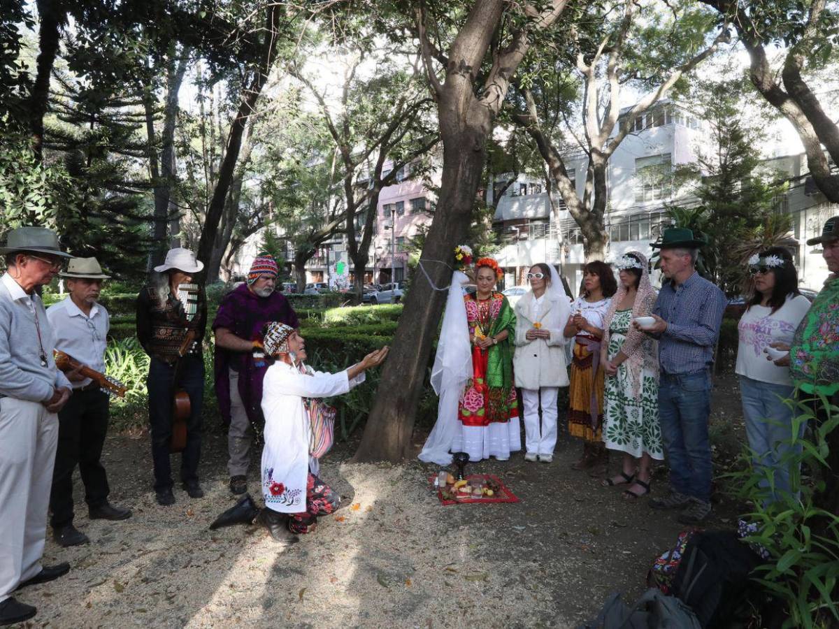 Una boda poco común: 11 personas “se casan” con un árbol en CDMX para alzar la voz contra la deforestación
