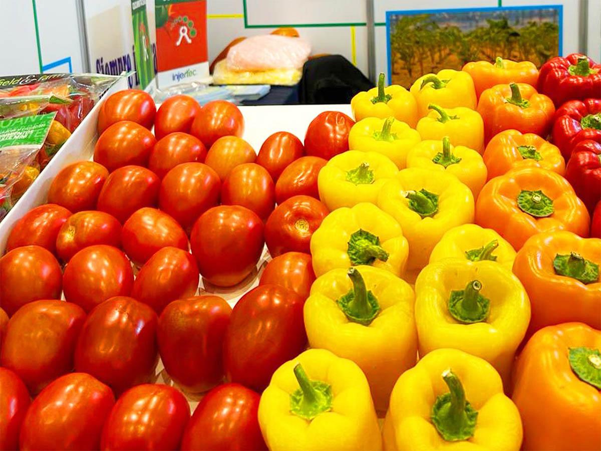 <i>GreenTech Americas 2024, enfocándose en la conservación de recursos y el cuidado del medio ambiente.</i>