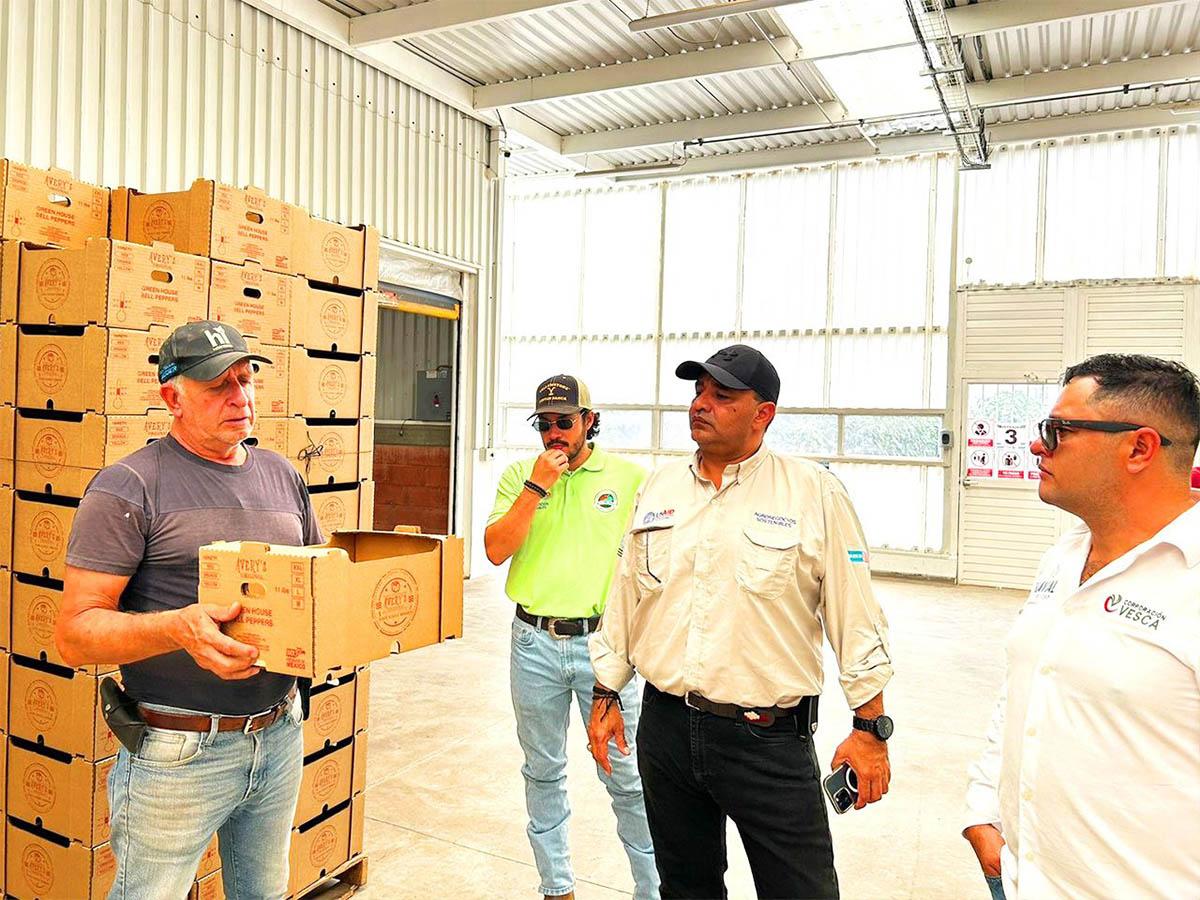 <i>Inversiones MAISA y SJ Miller, socios de Agronegocios Sostenibles, muestran su compromiso con prácticas agrícolas sostenibles en GreenTech Americas 2024, promoviendo un futuro más verde.</i>