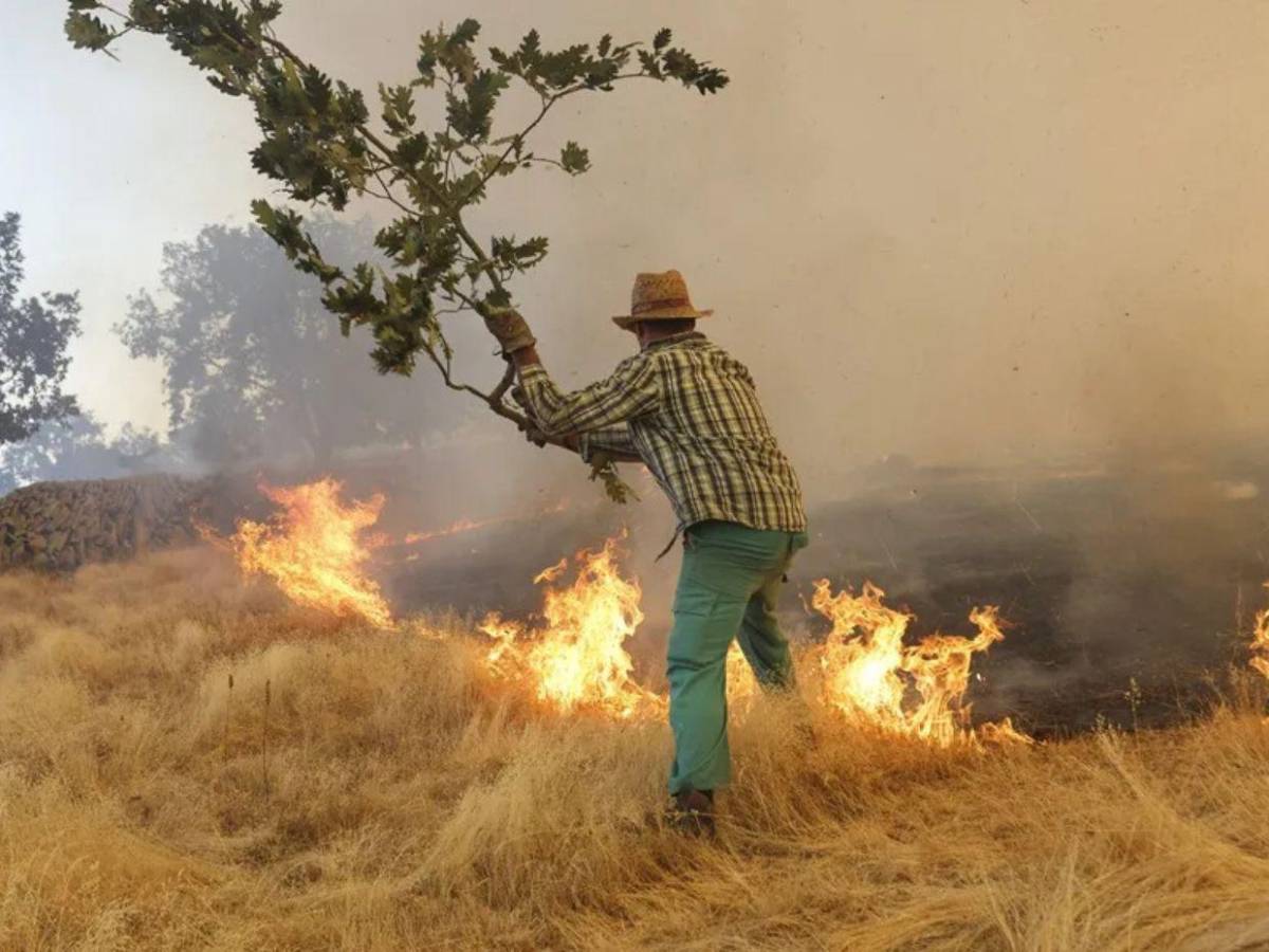 Fuego voraz arrasa con 45,000 hectáreas en España y obliga a evacuar a miles de personas