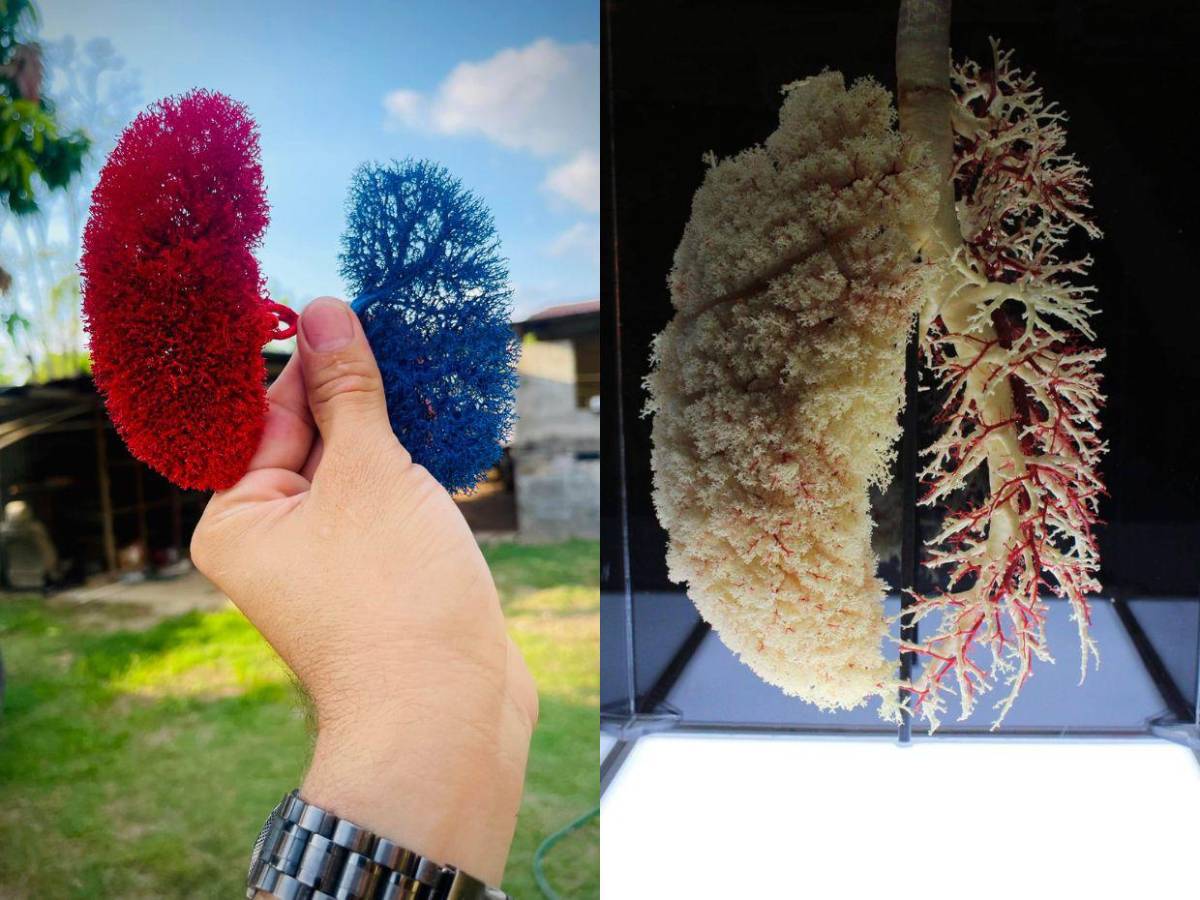 Hondureño transforma placentas en arte y huesos en esculturas sorprendentes